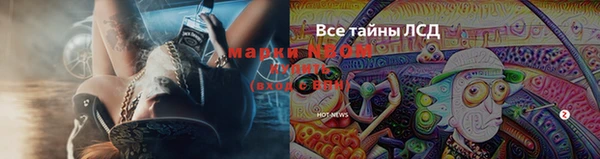 сатива Вяземский
