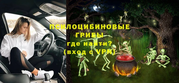 сатива Вяземский