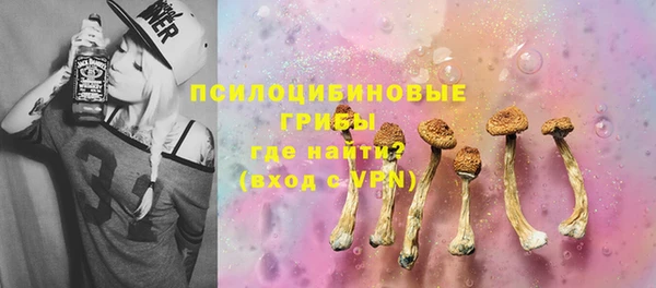 сатива Вяземский