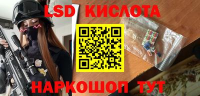 мдпв Бердск