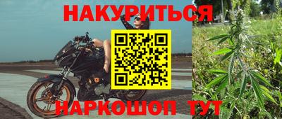 мдпв Бердск