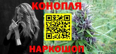 мдпв Бердск